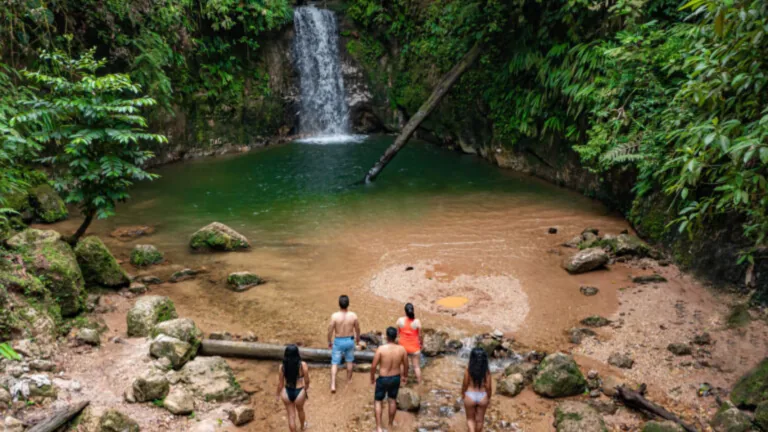 Cascada rodeada de vegetación en Napo